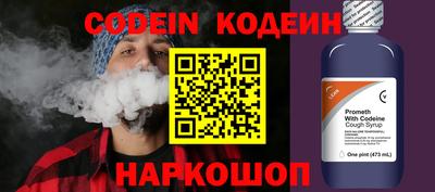 шишки Шелехов