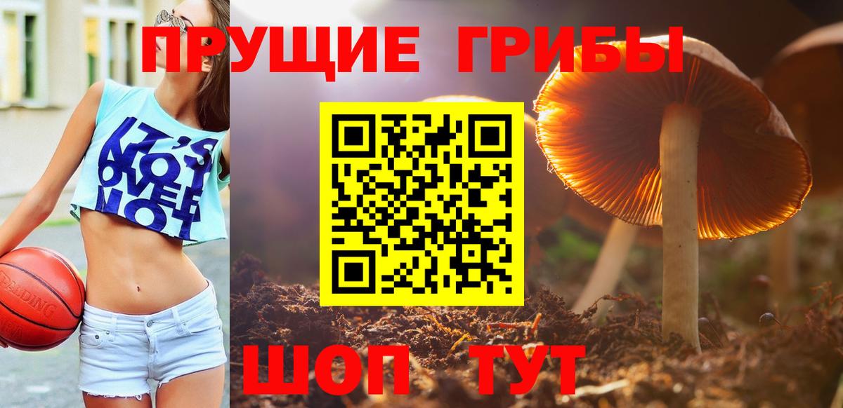 Галлюциногенные грибы Magic Shrooms Волгодонск